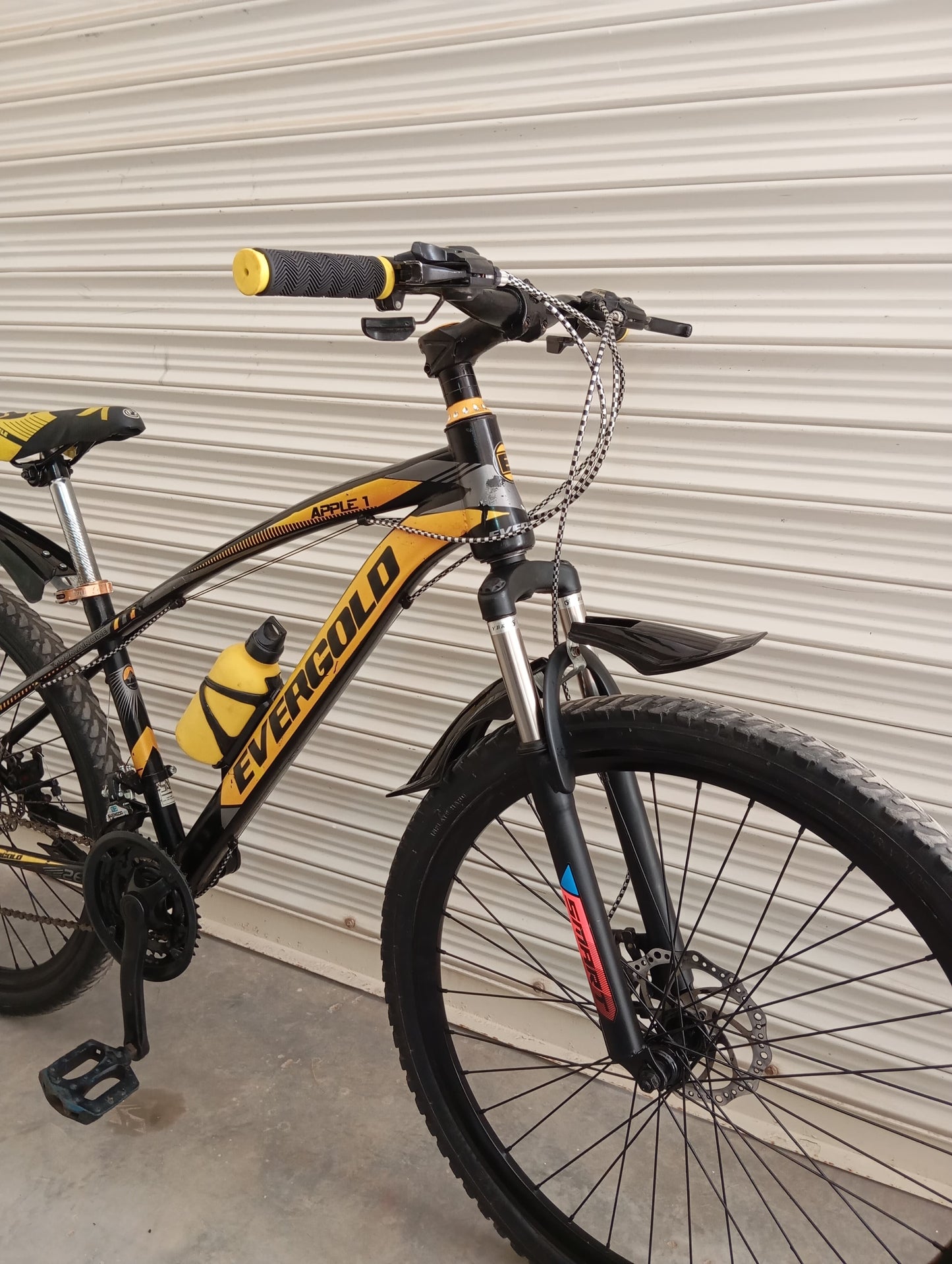 Bicycle 26 size (EverGold Original)