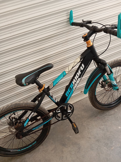 BICYCLE 20 Size (BEIDUOFU Original)